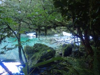 Milford Track, Fiordland National Park, New Zealand