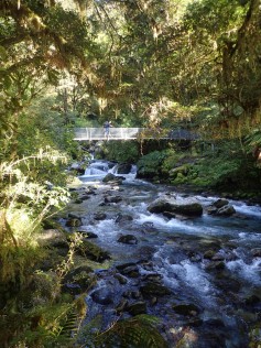 Milford Track, Fiordland National Park, New Zealand