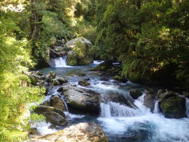 Milford Track, Fiordland National Park, New Zealand