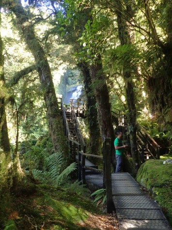 Milford Track, Fiordland National Park, New Zealand