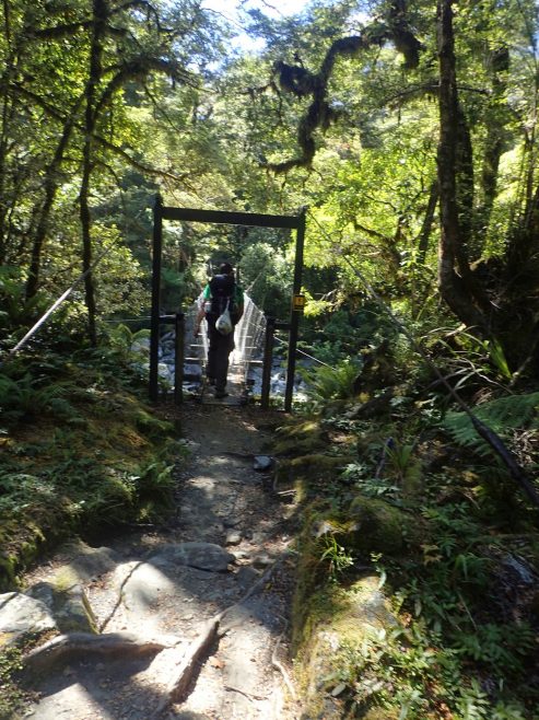 Milford Track, Fiordland National Park, New Zealand