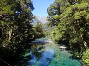 Milford Track, Fiordland National Park, New Zealand