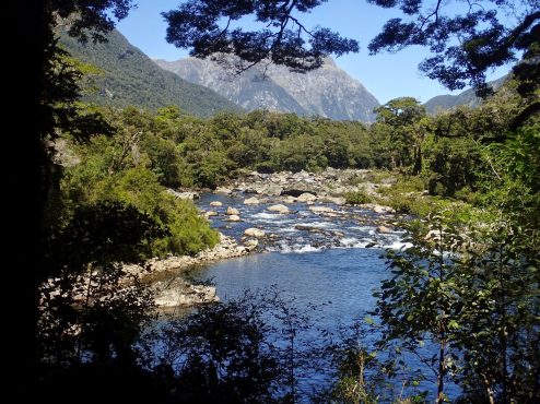 Milford Track, Fiordland National Park, New Zealand