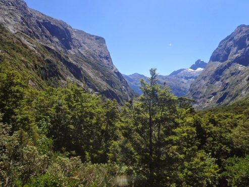 Milford Track, Fiordland National Park, New Zealand