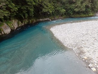 West Coast, South Island, New Zealand
