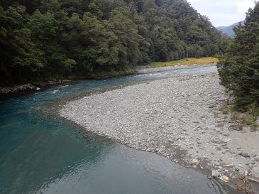 West Coast, South Island, New Zealand