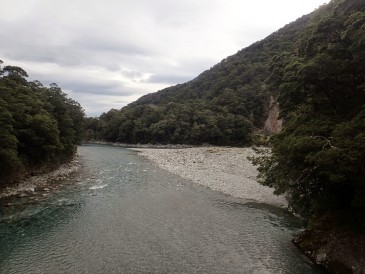 West Coast, South Island, New Zealand