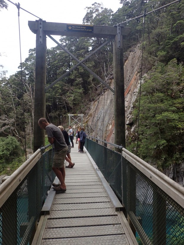 West Coast, South Island, New Zealand