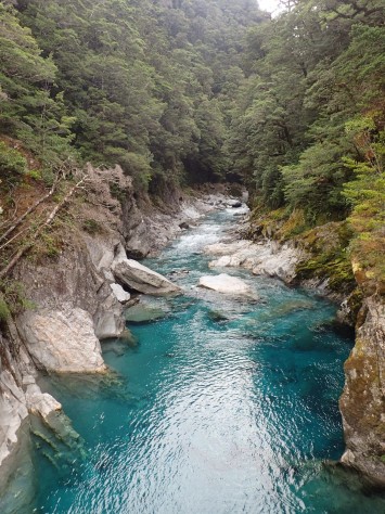 West Coast, South Island, New Zealand