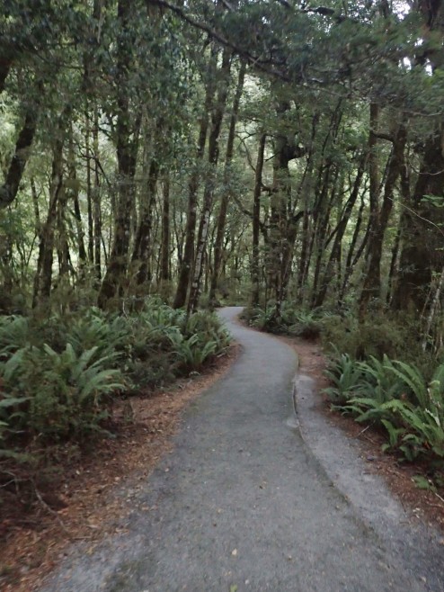 West Coast, South Island, New Zealand