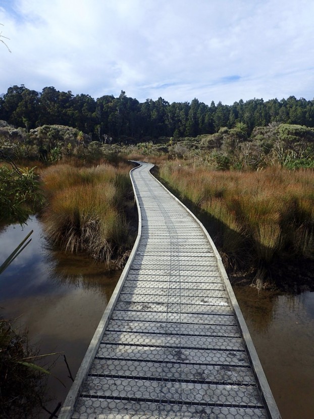 West Coast, South Island, New Zealand