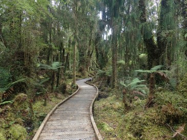 West Coast, South Island, New Zealand