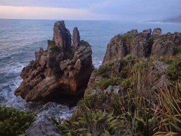 West Coast, South Island, New Zealand