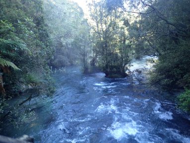 Tarawera Weekend