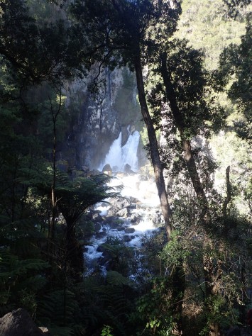 Tarawera Weekend