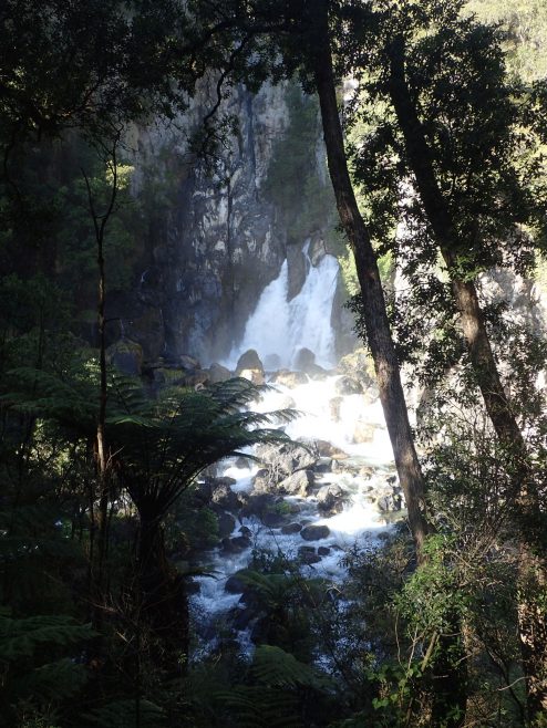 Tarawera Weekend
