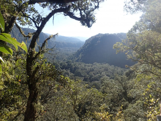 Tarawera Weekend