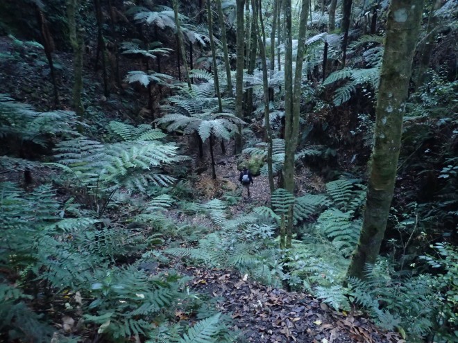 Tarawera Weekend