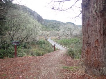 Tarawera Weekend