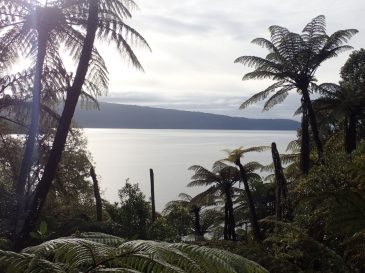 Tarawera Weekend