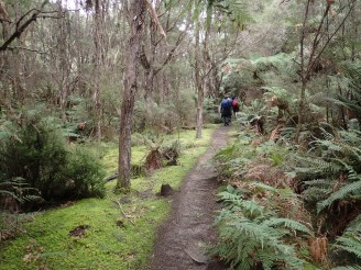 Tarawera Weekend