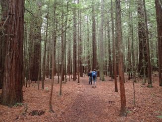 Tarawera Weekend