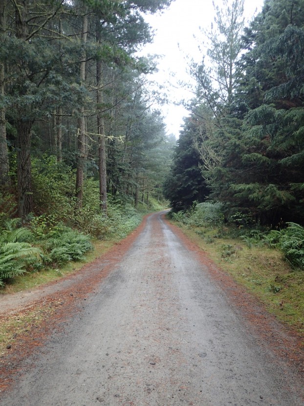 Tarawera Weekend