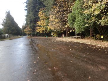 Tarawera Weekend