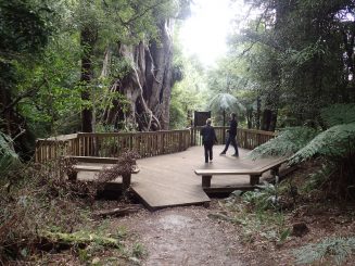 Lake Waikaremoana, Te Urewera National Park