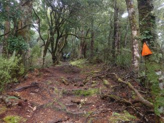 Lake Waikaremoana, Te Urewera National Park