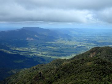 Mount Te Aroha, Waikato, New Zealand