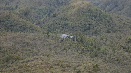 Pinnacles Kauaeranga Kauri Trail