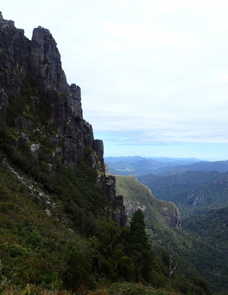Pinnacles Kauaeranga Kauri Trail