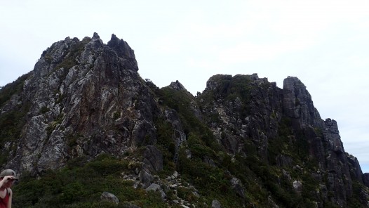 Pinnacles Kauaeranga Kauri Trail