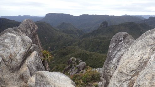 Pinnacles Kauaeranga Kauri Trail