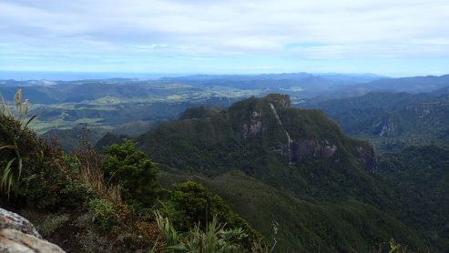 Pinnacles Kauaeranga Kauri Trail
