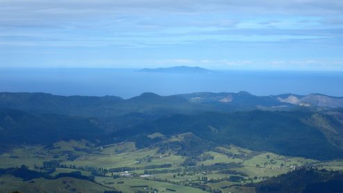 Pinnacles Kauaeranga Kauri Trail