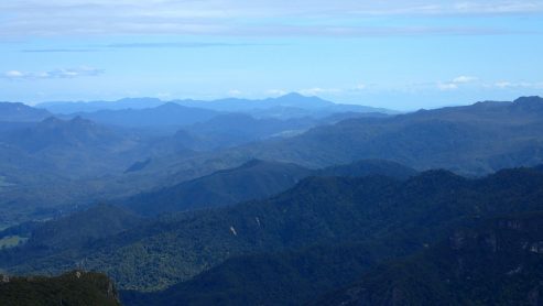 Pinnacles Kauaeranga Kauri Trail