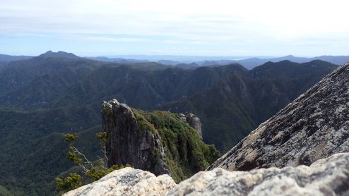 Pinnacles Kauaeranga Kauri Trail