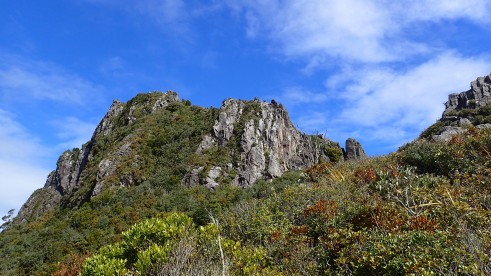 Pinnacles Kauaeranga Kauri Trail