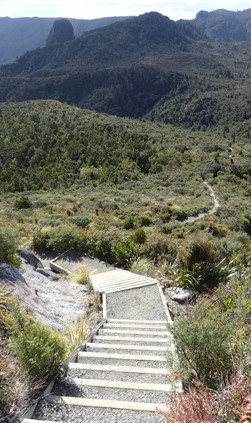 Pinnacles Kauaeranga Kauri Trail