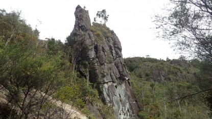 Pinnacles Kauaeranga Kauri Trail