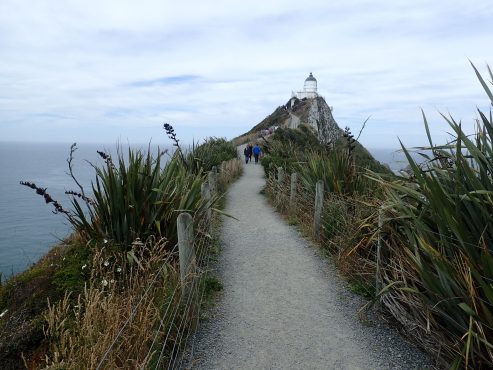 Nugget Point, Catlins