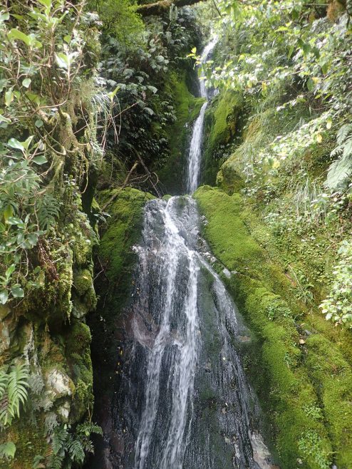 Routeburn Track