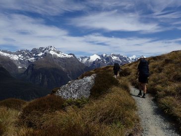 Routeburn Track