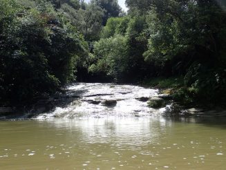 Whanganui Journey