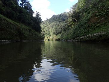 Whanganui Journey