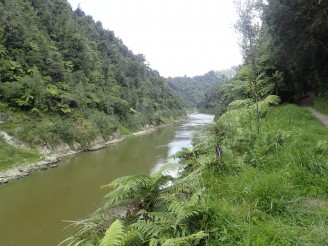 Whanganui Journey