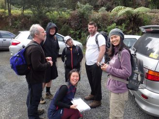 Wairoa Loop Track