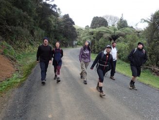 Wairoa Loop Track